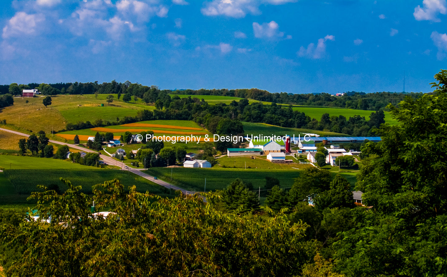 Amish Countryside-1-5814