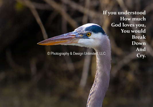 Break Down-Herron-1