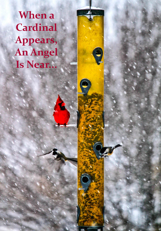 Cardinal Near-DK-1