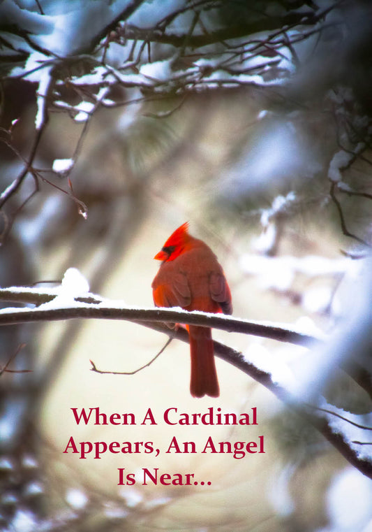 Cardinal Near-GD-1