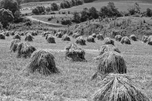 Amish Haystacks-BW-5939