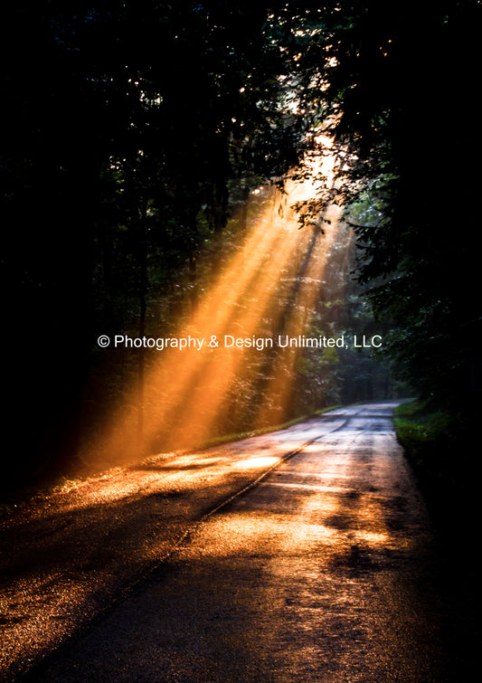 Heavenly Rays-0806