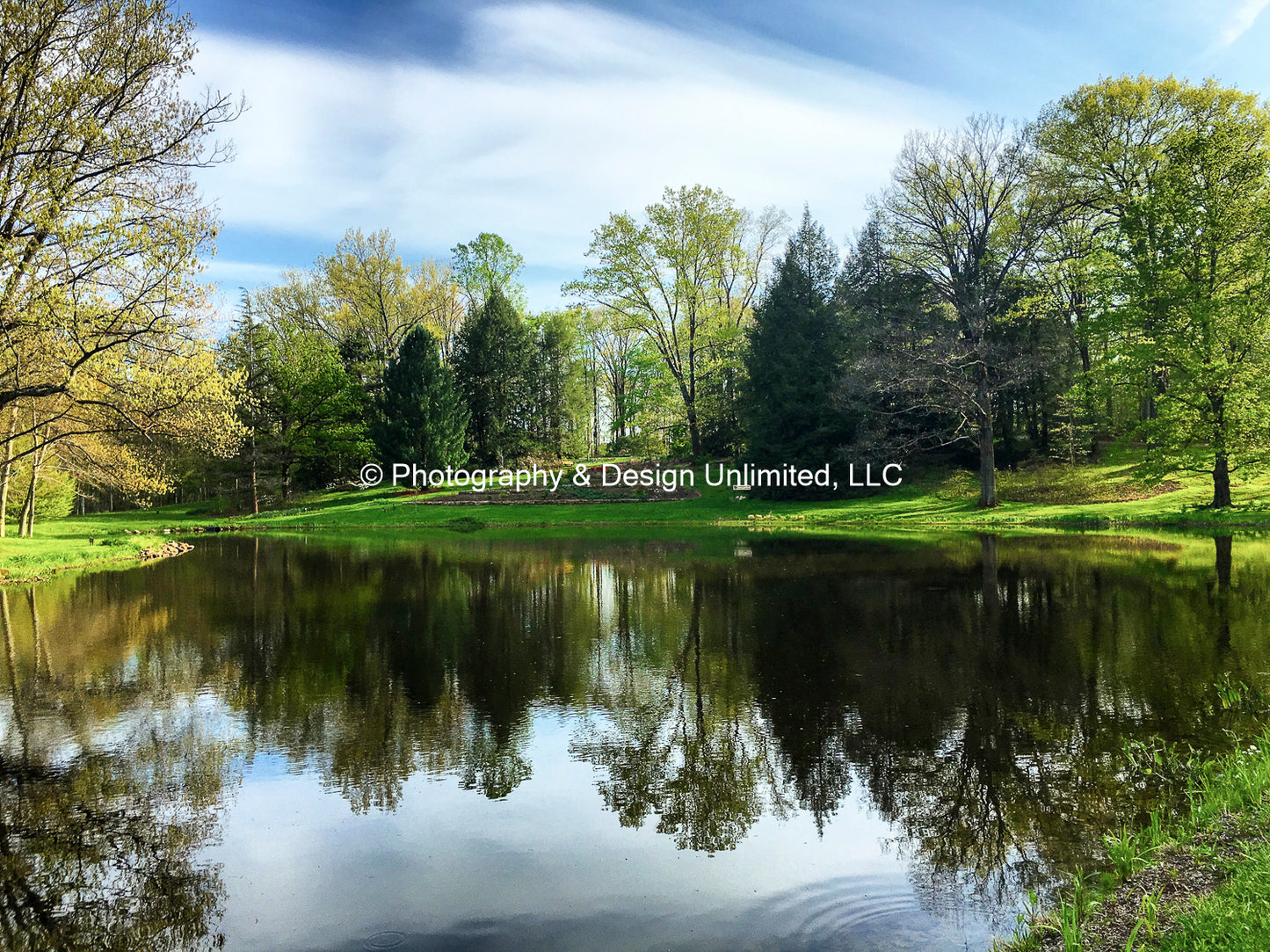 Holden Arboretum Summer Pond-1-2111