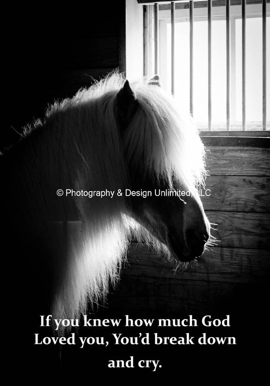 Pony-BW-Cry-Magnet-1-0800