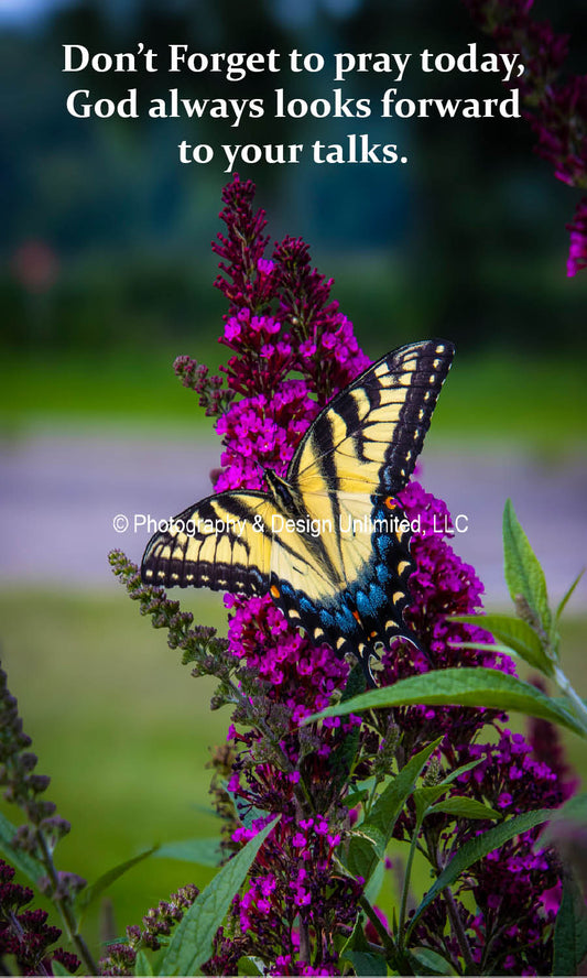 Swallowtail Butterfly Magnet-1-7938