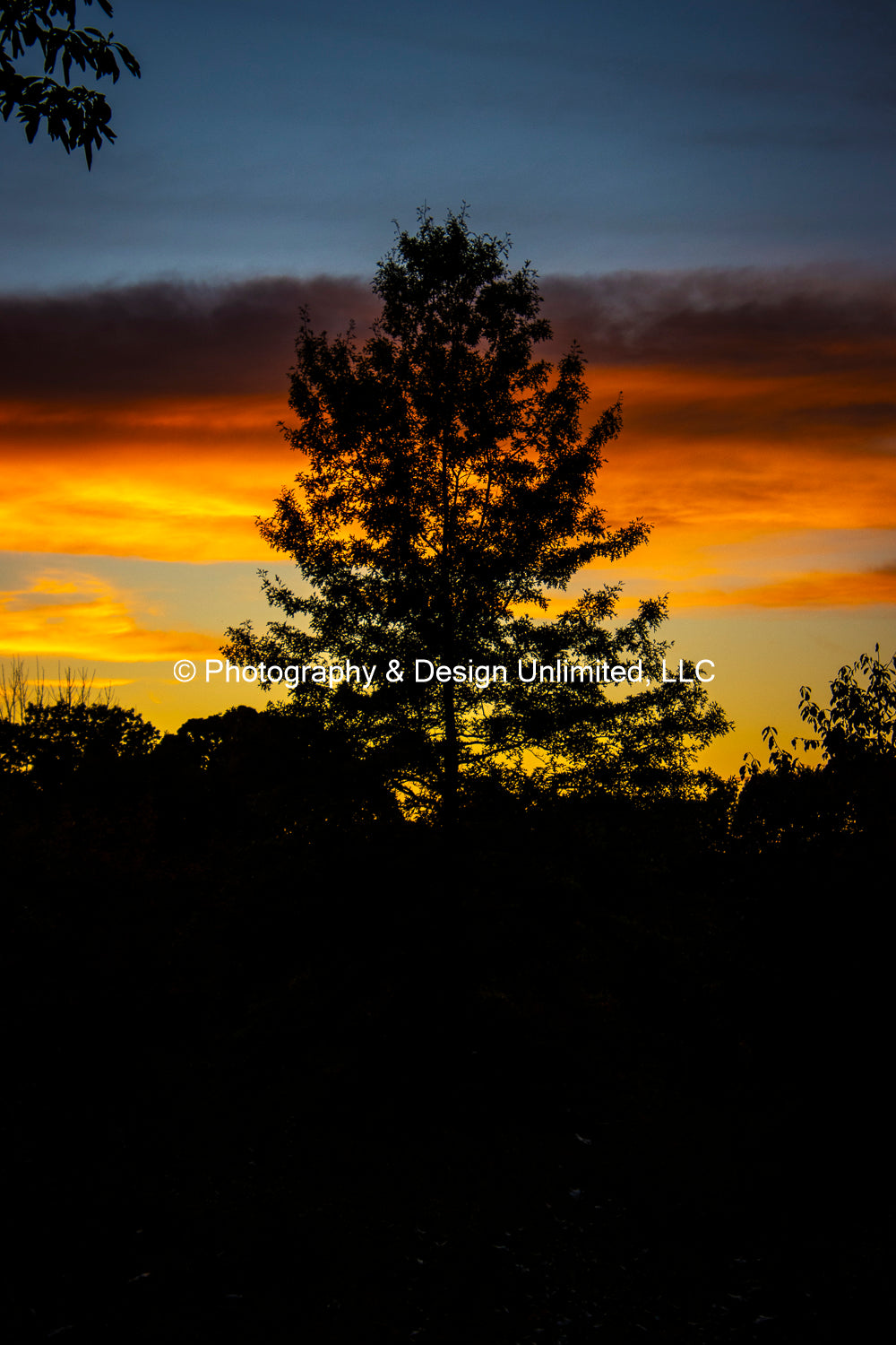 Sunset-1 Greeting Card Set Of 6