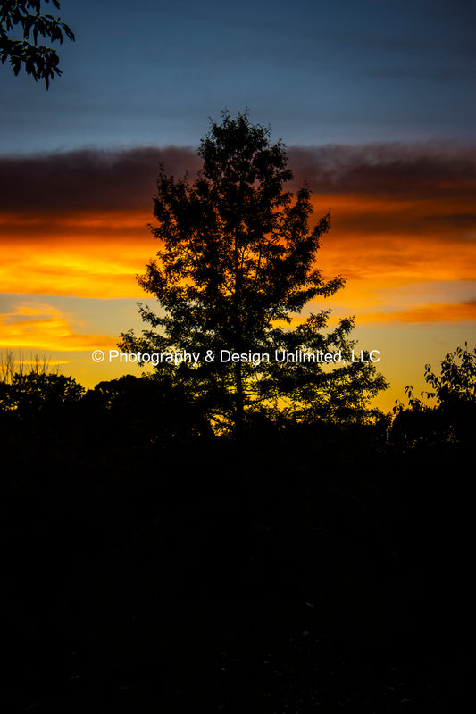 Sunset PG-2-0453