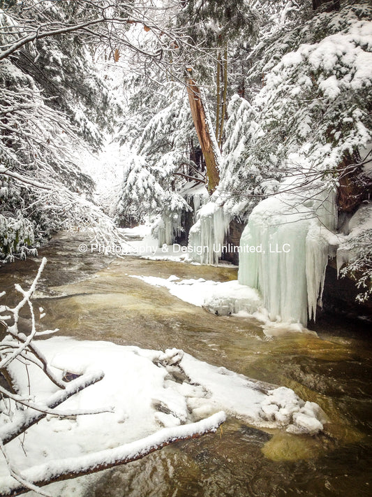 Winter Creek-1-0079
