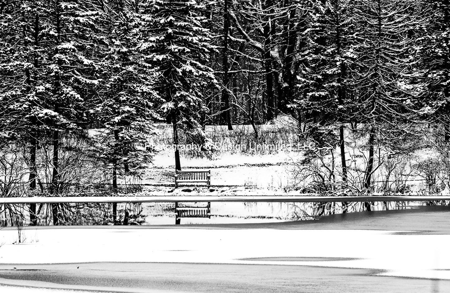 Winter Pond-BW-1-0469