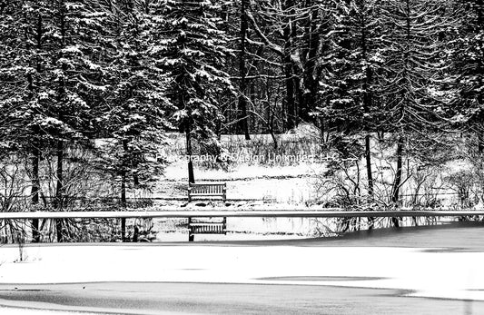 Winter Pond-BW-1-0469
